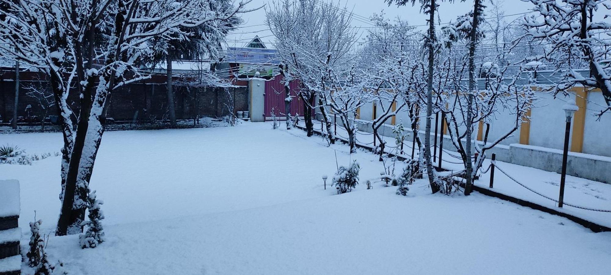 The Clover Inn Srīnagar Dış mekan fotoğraf